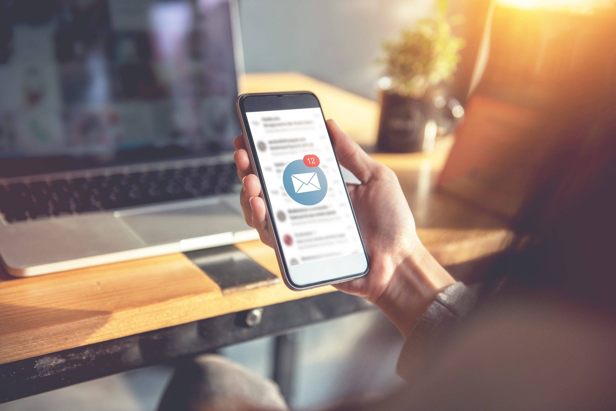 Newsletter scaled Newsletter scaled